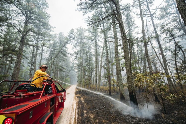 New Jersey forest fire that was sparked by fireworks is 75% contained
